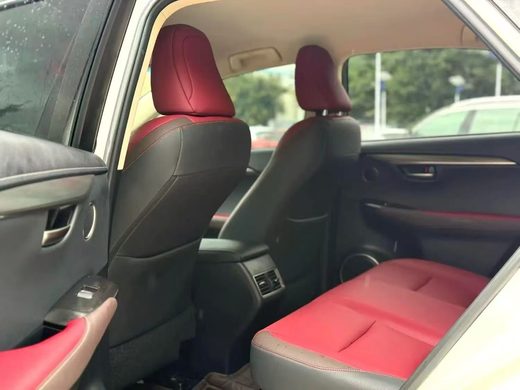 Lexus NX 300 2018