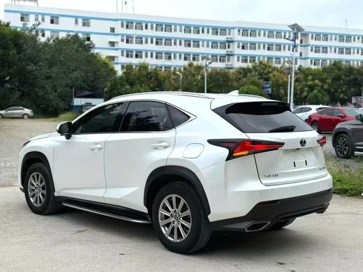 Lexus NX 300 2018